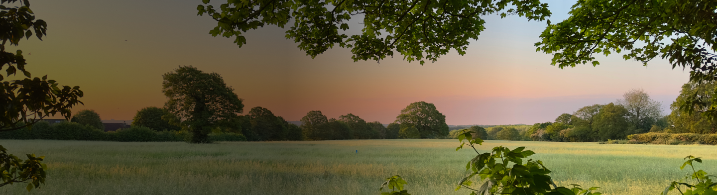Peaceful park landscape with trees reflected in a calm pond.