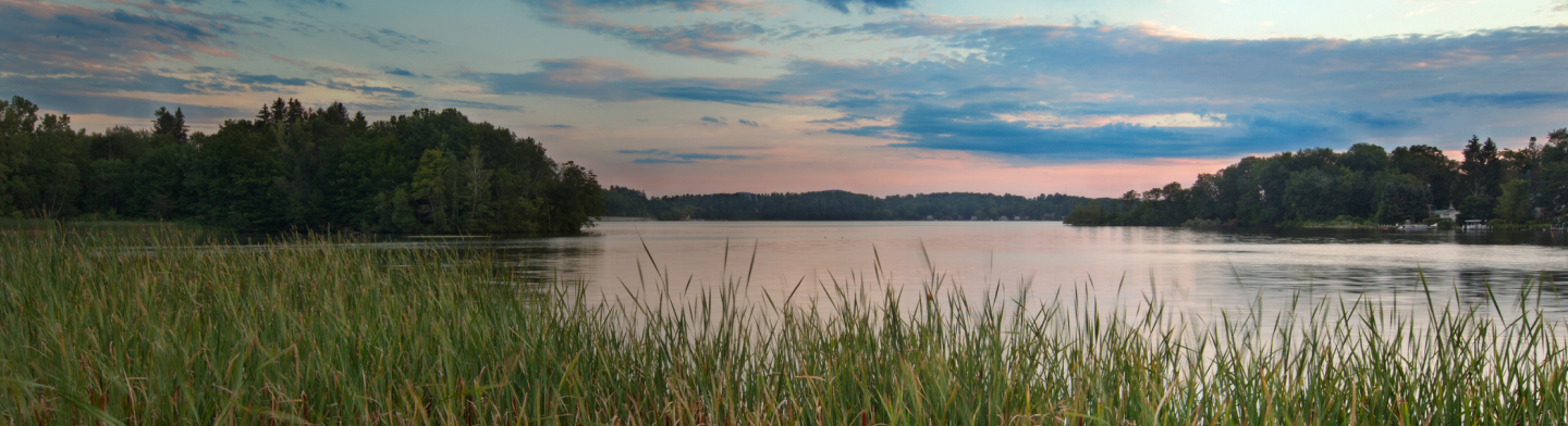 Calm lakeside landscape with tall grass under a cloudy sky.