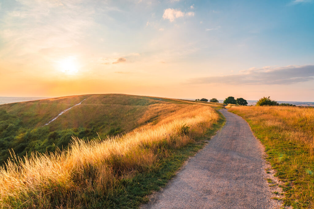 Peaceful landscape with a path at sunset symbolizing reflection and life’s journey
