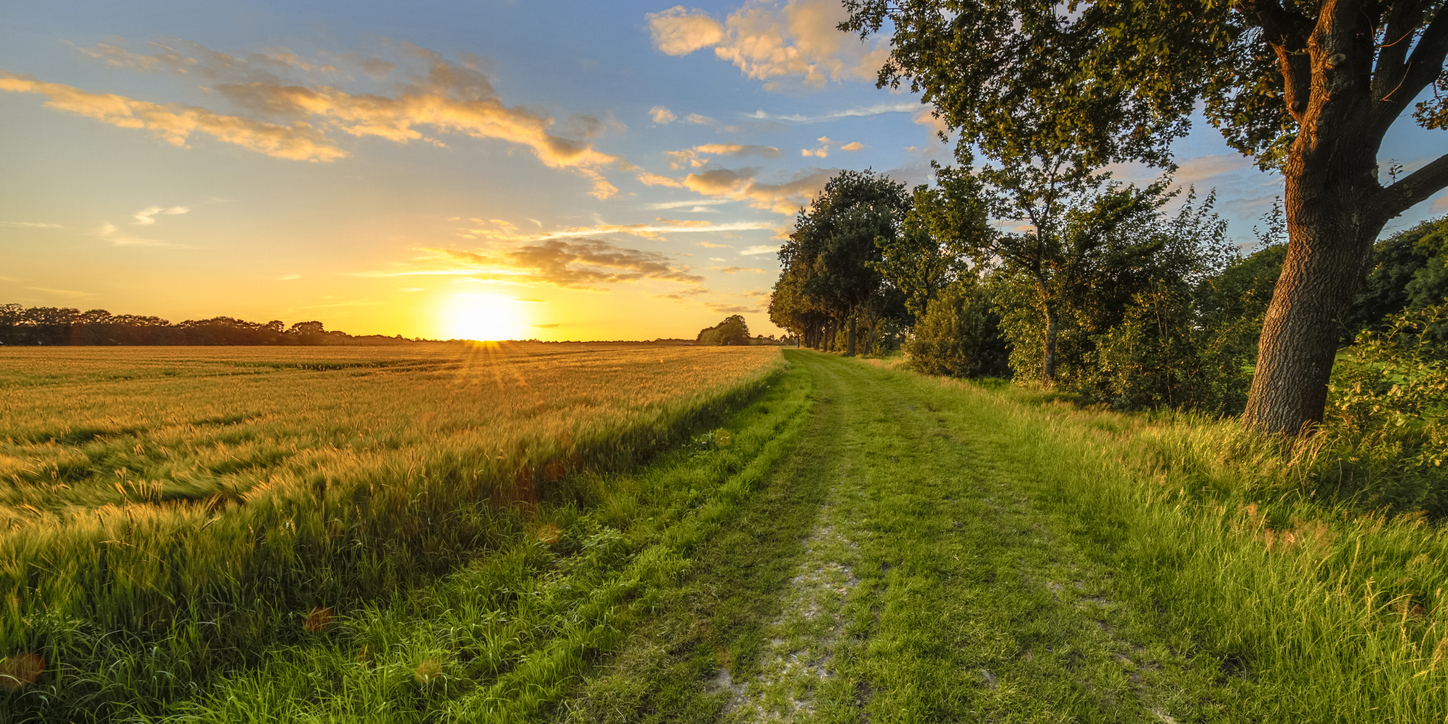 Peaceful country path at sunset representing clarity, reflection, and peace of mind in advance care planning