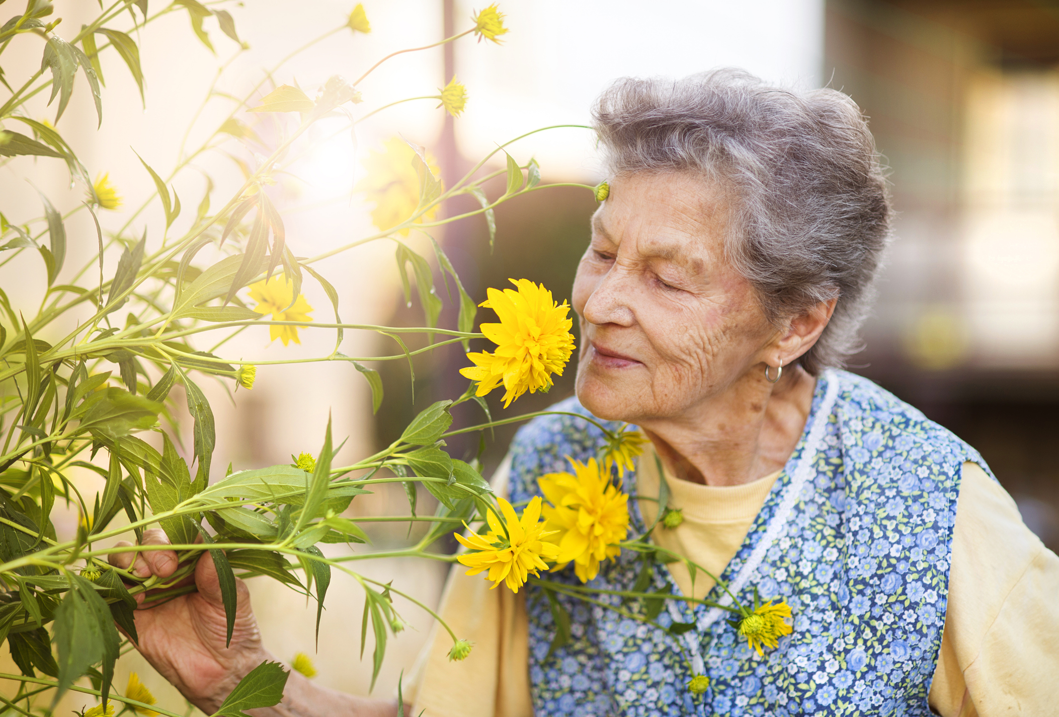 Caregiver meeting with an older adult during an advance care planning discussion